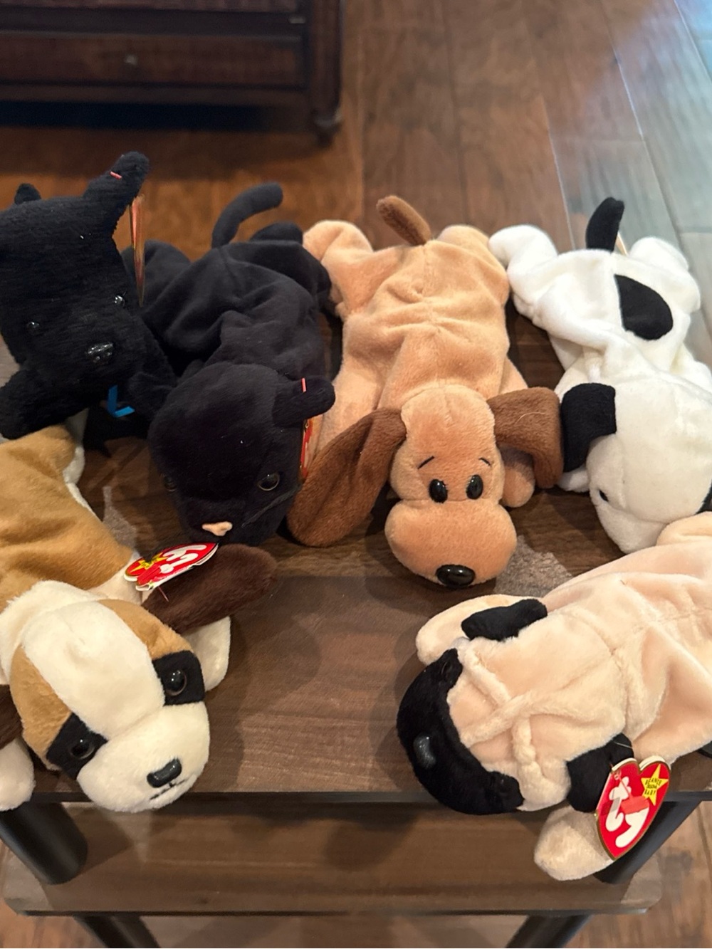 Ty Beanie Baby Puppy Dog Plush Stuffed Animals  Lot Of 6-Multi Breeds